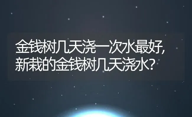 金钱树几天浇一次水最好,新栽的金钱树几天浇水？ | 养殖科普