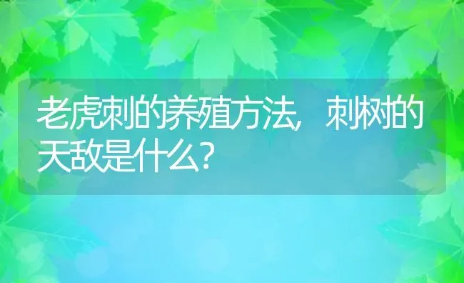 老虎刺的养殖方法,刺树的天敌是什么？ | 养殖科普