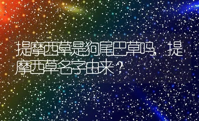 提摩西草是狗尾巴草吗,提摩西草名字由来？ | 养殖科普
