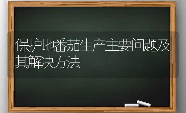 保护地番茄生产主要问题及其解决方法 | 养殖知识