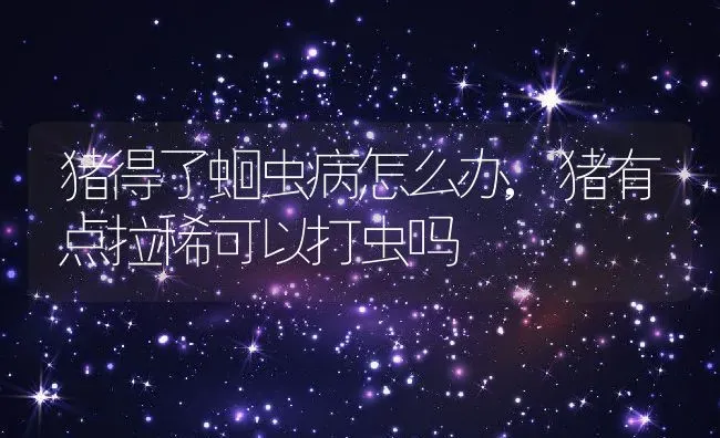 猪得了蛔虫病怎么办,猪有点拉稀可以打虫吗 | 养殖学堂