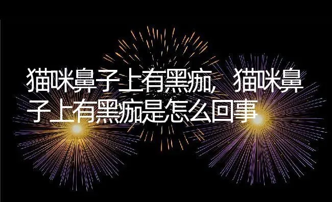 猫咪鼻子上有黑痂,猫咪鼻子上有黑痂是怎么回事 | 养殖科普