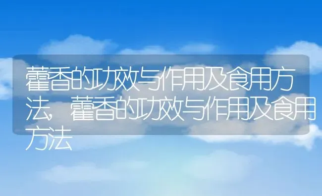 藿香的功效与作用及食用方法,藿香的功效与作用及食用方法 | 养殖科普