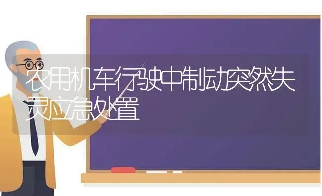 农用机车行驶中制动突然失灵应急处置 | 养殖知识