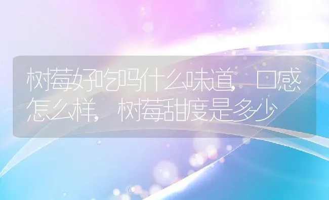 树莓好吃吗什么味道,口感怎么样,树莓甜度是多少 | 养殖学堂