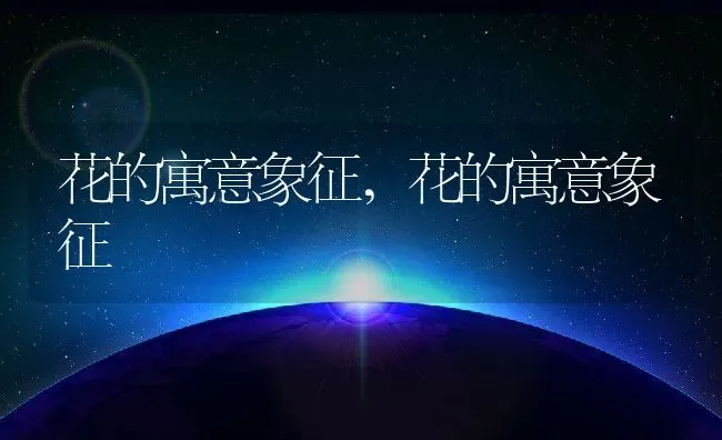 花的寓意象征,花的寓意象征 | 养殖科普