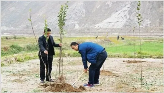 果树不同季节栽培注意事项 | 生活常识