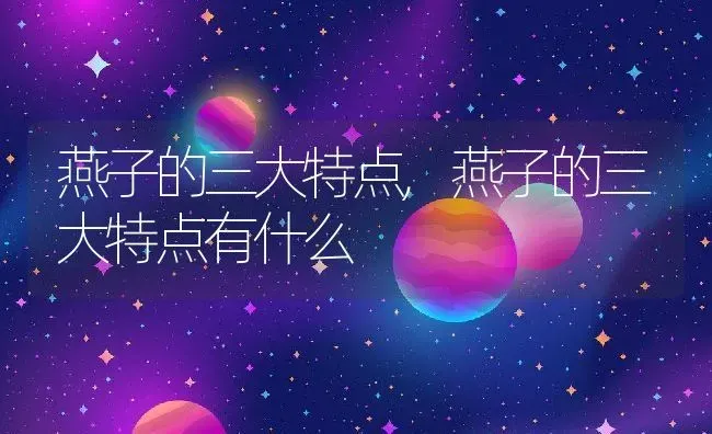 燕子的三大特点,燕子的三大特点有什么 | 养殖资料