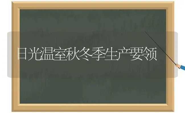 日光温室秋冬季生产要领 | 养殖知识