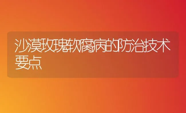 沙漠玫瑰软腐病的防治技术要点 | 养殖知识