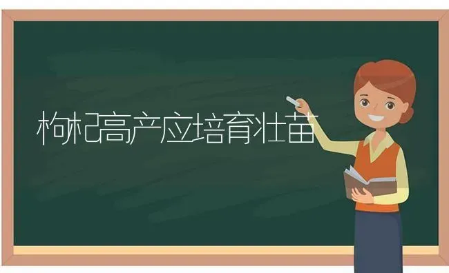 枸杞高产应培育壮苗 | 养殖知识