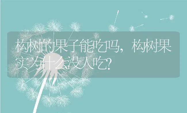 构树的果子能吃吗,构树果实为什么没人吃？ | 养殖科普