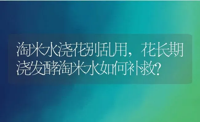 淘米水浇花别乱用,花长期浇发酵淘米水如何补救？ | 养殖科普