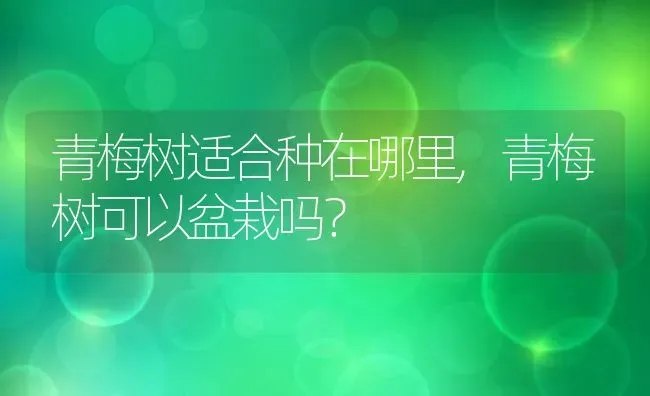 青梅树适合种在哪里,青梅树可以盆栽吗？ | 养殖科普