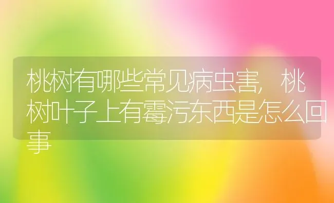 桃树有哪些常见病虫害,桃树叶子上有霉污东西是怎么回事 | 养殖学堂