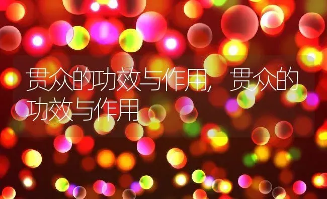 贯众的功效与作用,贯众的功效与作用 | 养殖科普