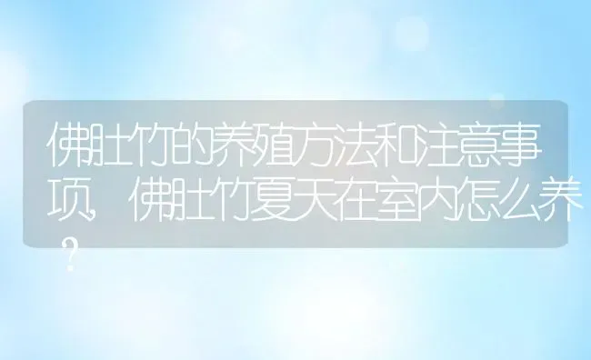 佛肚竹的养殖方法和注意事项,佛肚竹夏天在室内怎么养？ | 养殖科普