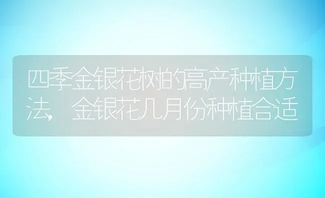 四季金银花树的高产种植方法,金银花几月份种植合适 | 养殖学堂