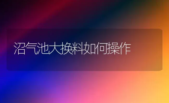 沼气池大换料如何操作 | 养殖技术大全