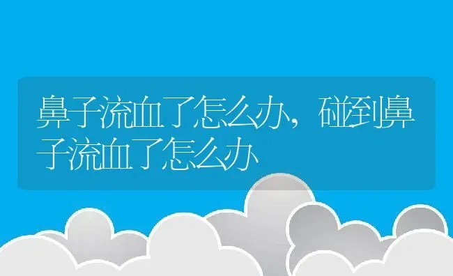 鼻子流血了怎么办,碰到鼻子流血了怎么办 | 养殖科普