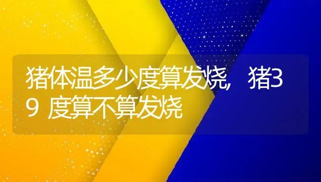 猪体温多少度算发烧,猪39度算不算发烧 | 养殖学堂