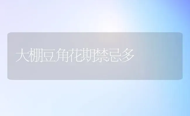 大棚豆角花期禁忌多 | 养殖技术大全