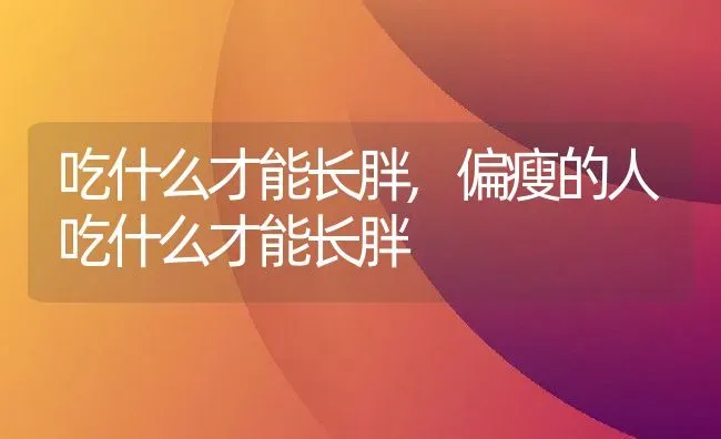 锦鲤能长多大,锦鲤能长多大能活多少年 | 养殖资料