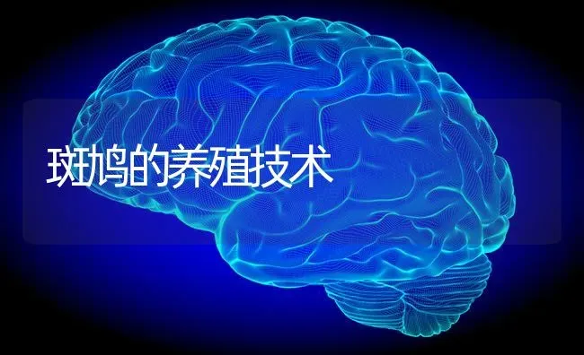 斑鸠的养殖技术 | 养殖技术大全