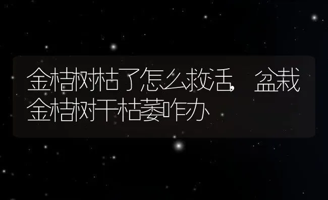 金桔树枯了怎么救活,盆栽金桔树干枯萎咋办 | 养殖学堂