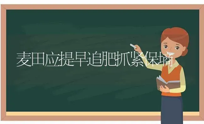 麦田应提早追肥抓紧保墒 | 养殖知识