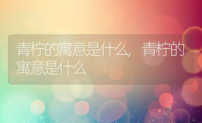 青柠的寓意是什么,青柠的寓意是什么 | 养殖科普