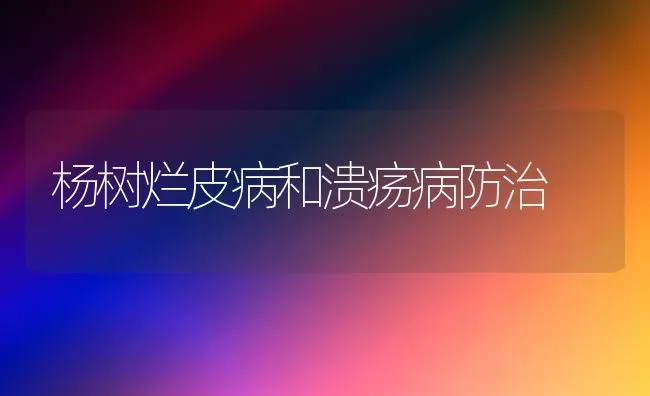 杨树烂皮病和溃疡病防治 | 养殖技术大全