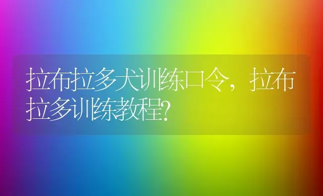 拉布拉多犬训练口令,拉布拉多训练教程？ | 养殖学堂