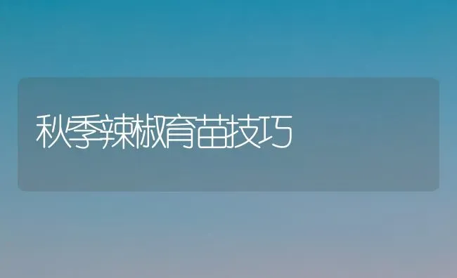 秋季辣椒育苗技巧 | 养殖技术大全