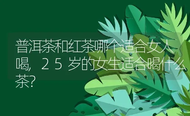 八瓣梅和格桑花的区别,8瓣梅是什么 | 养殖科普