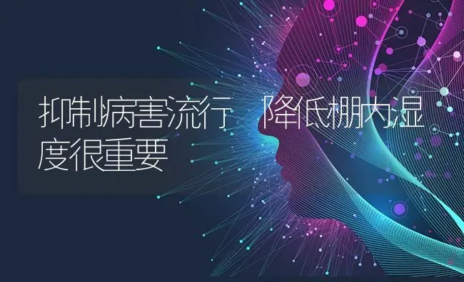 抑制病害流行 降低棚内湿度很重要 | 养殖知识