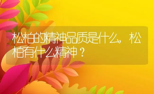 松柏的精神品质是什么,松柏有什么精神？ | 养殖科普