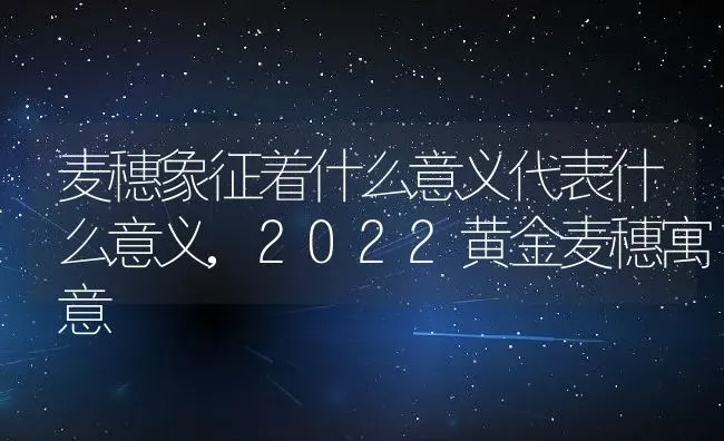 麦穗象征着什么意义代表什么意义,2022黄金麦穗寓意 | 养殖学堂