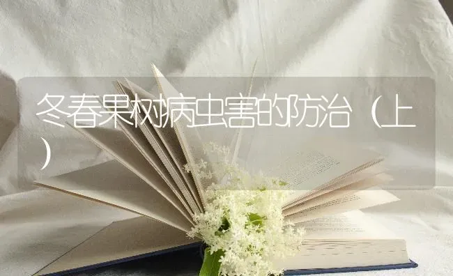 谨防温室番茄晚疫病 | 养殖技术大全