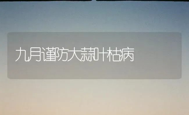 九月谨防大蒜叶枯病 | 养殖技术大全