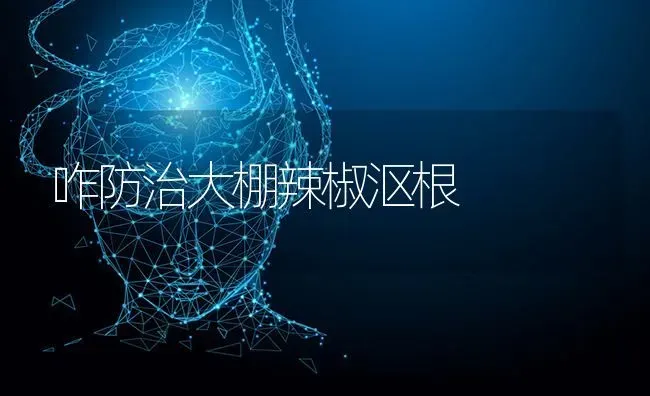 咋防治大棚辣椒沤根 | 养殖技术大全