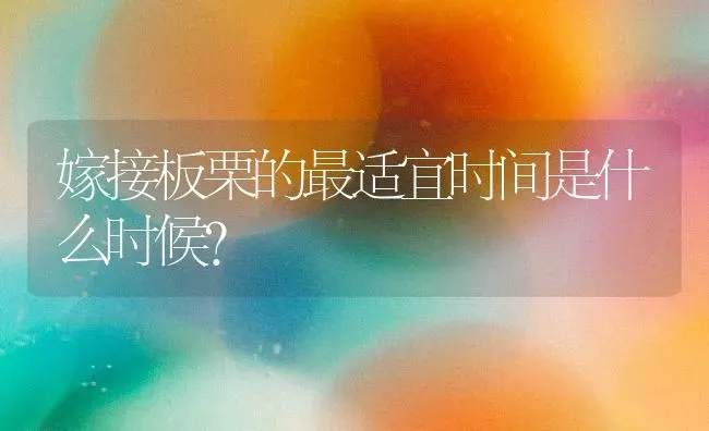 鸽子口疮病的诊断 | 养殖知识