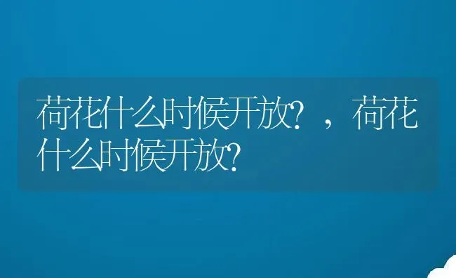 荷花什么时候开放?,荷花什么时候开放? | 养殖科普