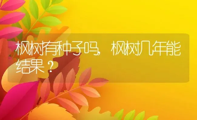 狗可以吃水果吗,一个月的小狗可以吃水果吗 | 养殖科普