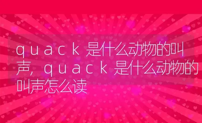 quack是什么动物的叫声,quack是什么动物的叫声怎么读 | 养殖资料