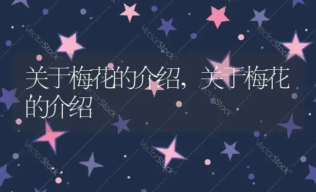 关于梅花的介绍,关于梅花的介绍 | 养殖科普