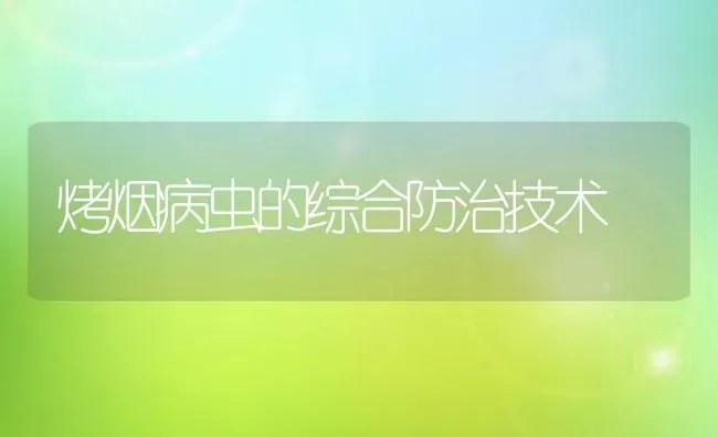 烤烟病虫的综合防治技术 | 养殖技术大全