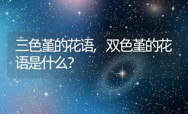 三色堇的花语,双色堇的花语是什么？ | 养殖科普