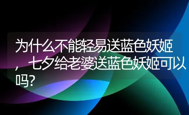 为什么不能轻易送蓝色妖姬,七夕给老婆送蓝色妖姬可以吗？ | 养殖学堂