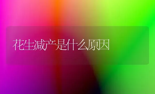 花生减产是什么原因 | 养殖知识